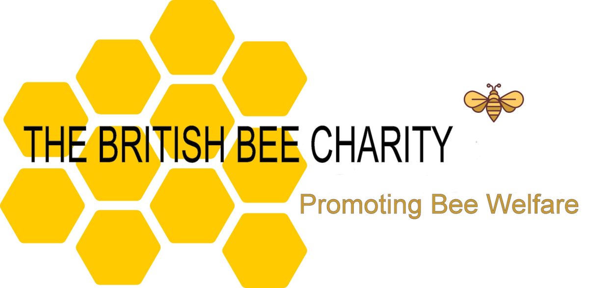 British Bee Charity