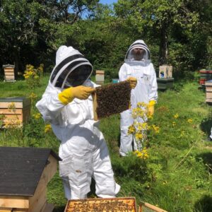 2026 New Beekeepers Training Course