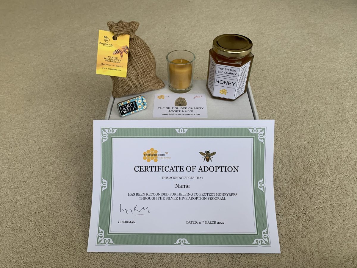 Adopt a Hive - Silver - Image 2