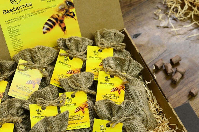 BeeBombs4Schools