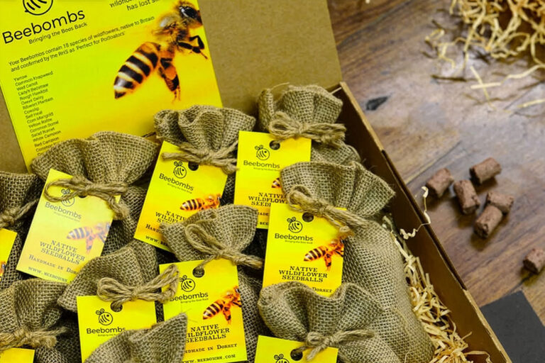 BeeBombs4Schools