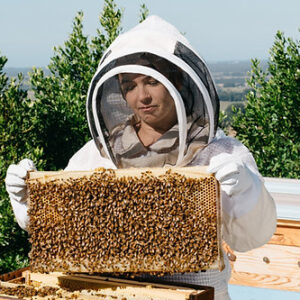 Full Membership with BDI for up to 3 Colonies
