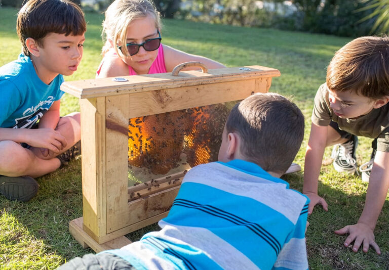Kids learning about bees