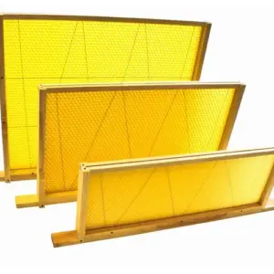 Frames and Foundation