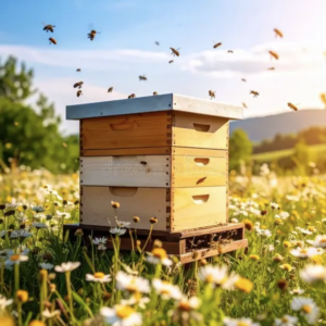 Adopt a Hive