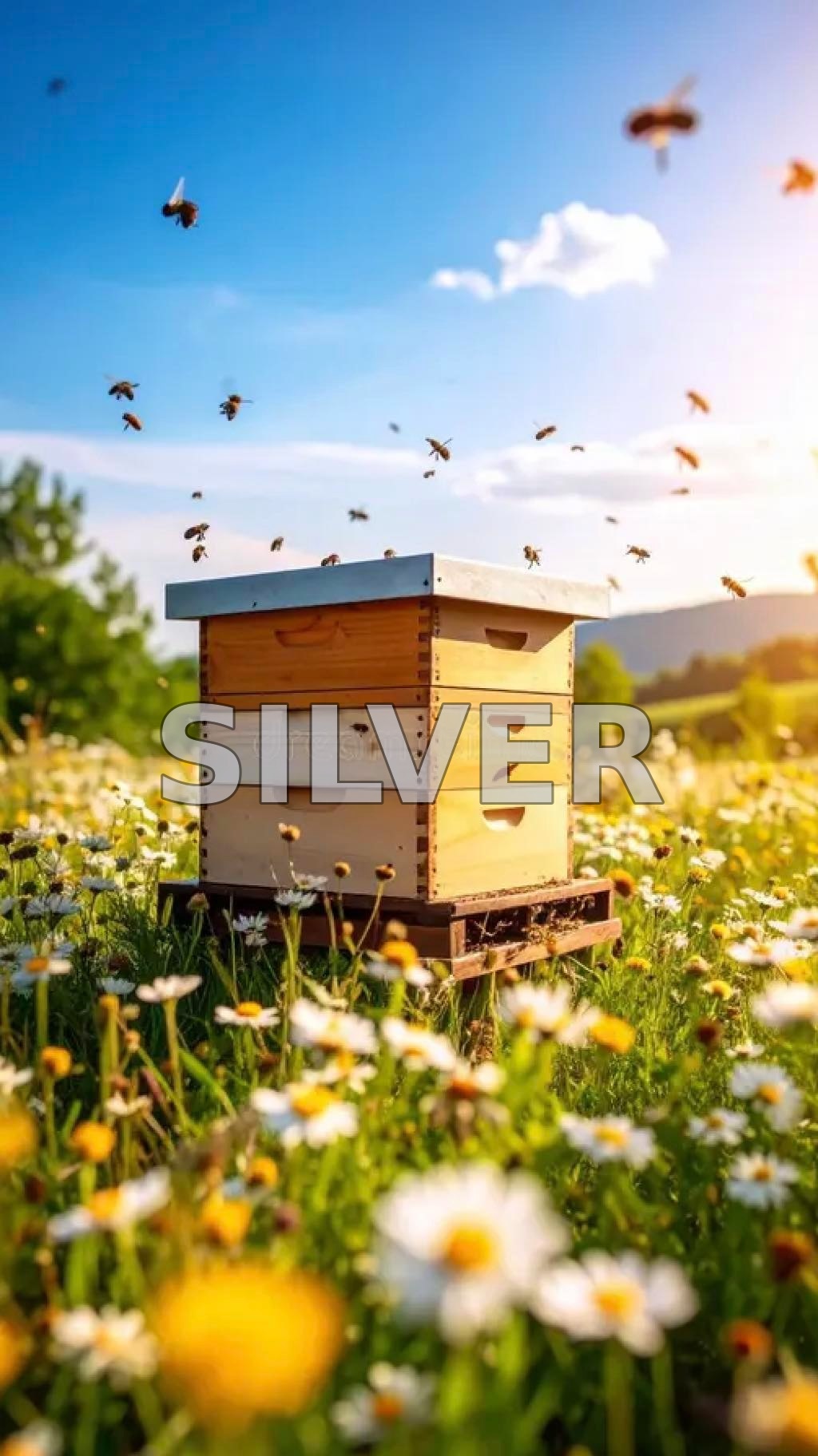 Adopt a Hive - Silver